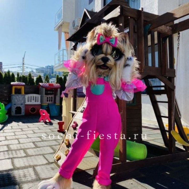 Аниматор Гламурная Собака в Красноярске