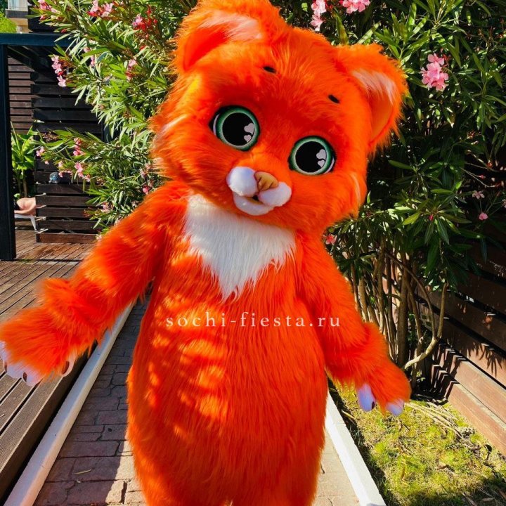 Аниматор Котик в Красноярске