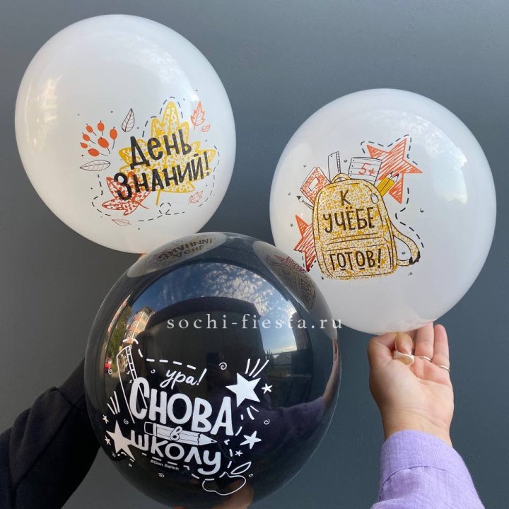 Воздушный шар к 1 сентября в Красноярске