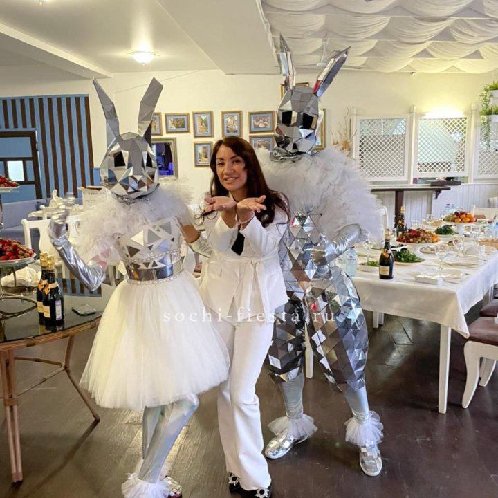 Аниматор Зеркальный заяц в Красноярске