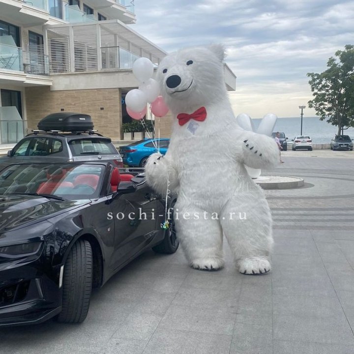 Аниматор Белый Медведь в Красноярске