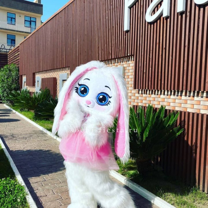 Аниматор Зайка в Красноярске