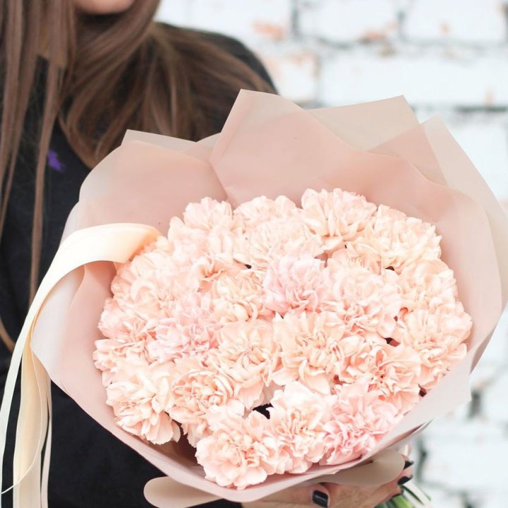 Диантусы №2 в Красноярске