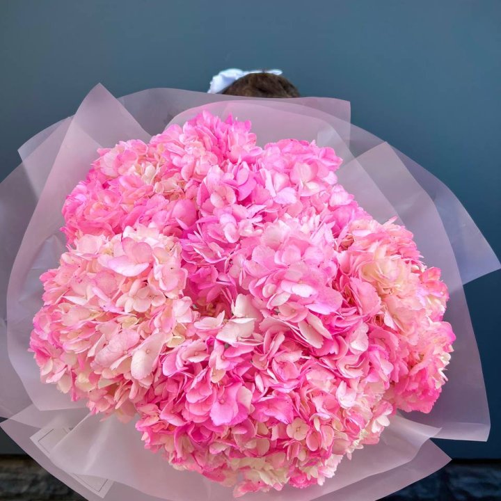 9 ярко розовых гортензий в Красноярске