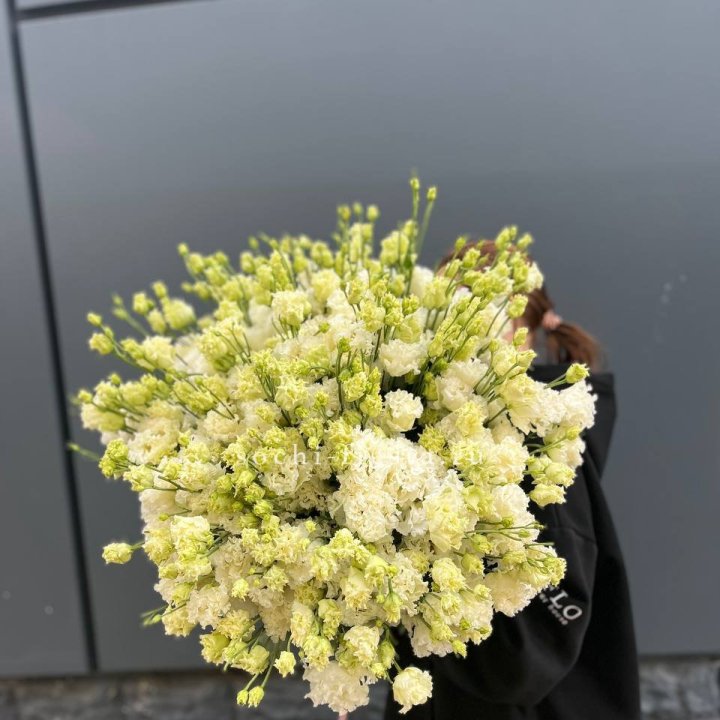 51 белая эустома в Красноярске