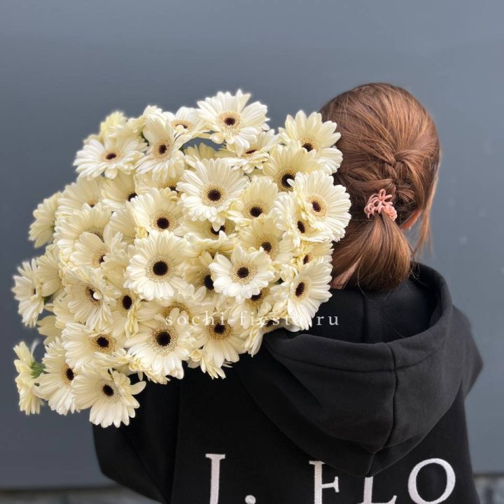 51 гербера в Красноярске