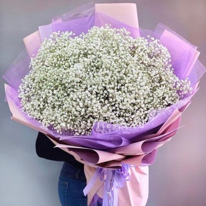 Облако белых гипсофил в Красноярске