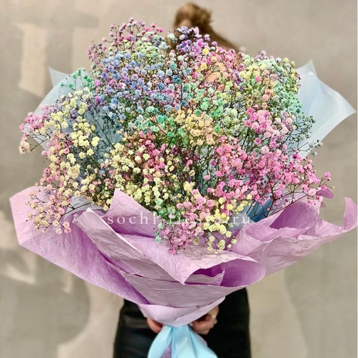 Радужные гипсофилы №2 в Красноярске