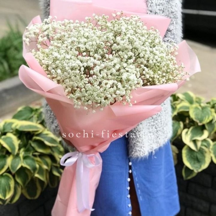 Белоснежные гипсофилы в Красноярске