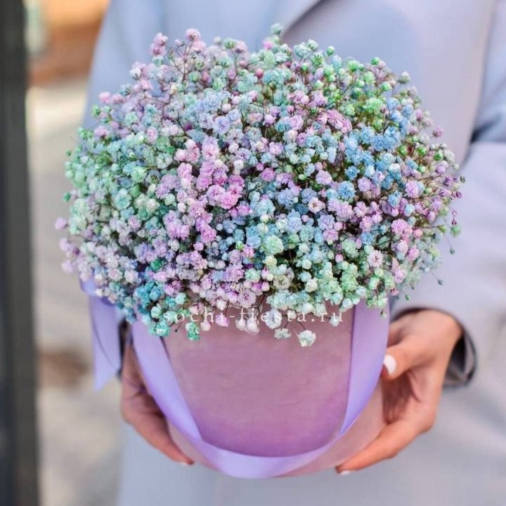 Гипсофилы в шляпной коробке "Кандилайт" в Красноярске