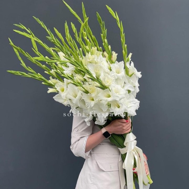 19 белых гладиолусов под ленту в Красноярске