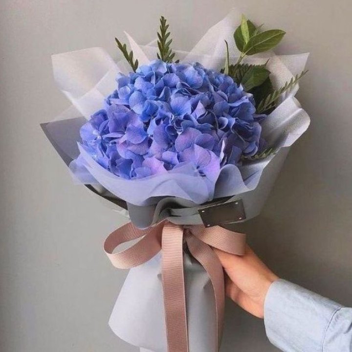 Гортензия голубая в Красноярске