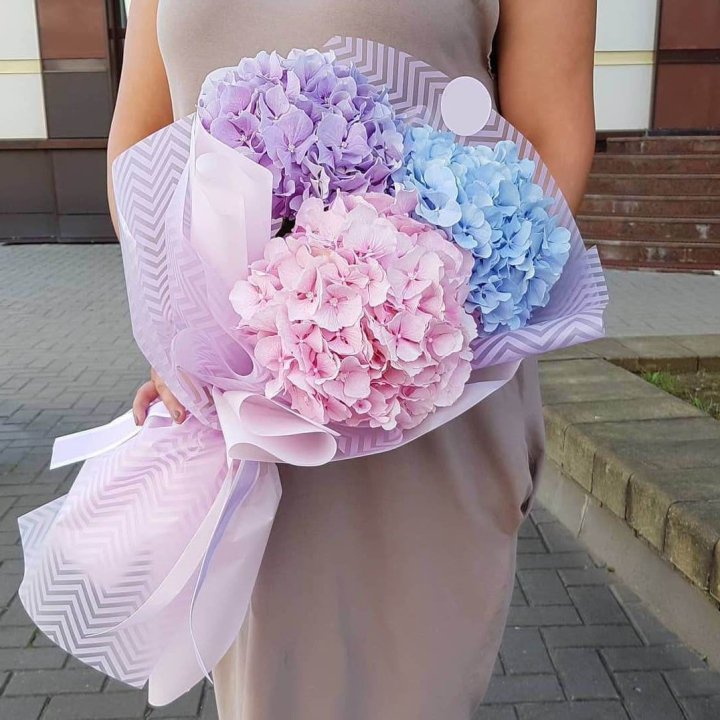 Букет гортензий "Пуф" в Красноярске