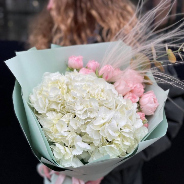 Гортензия "Жасмин" в Красноярске