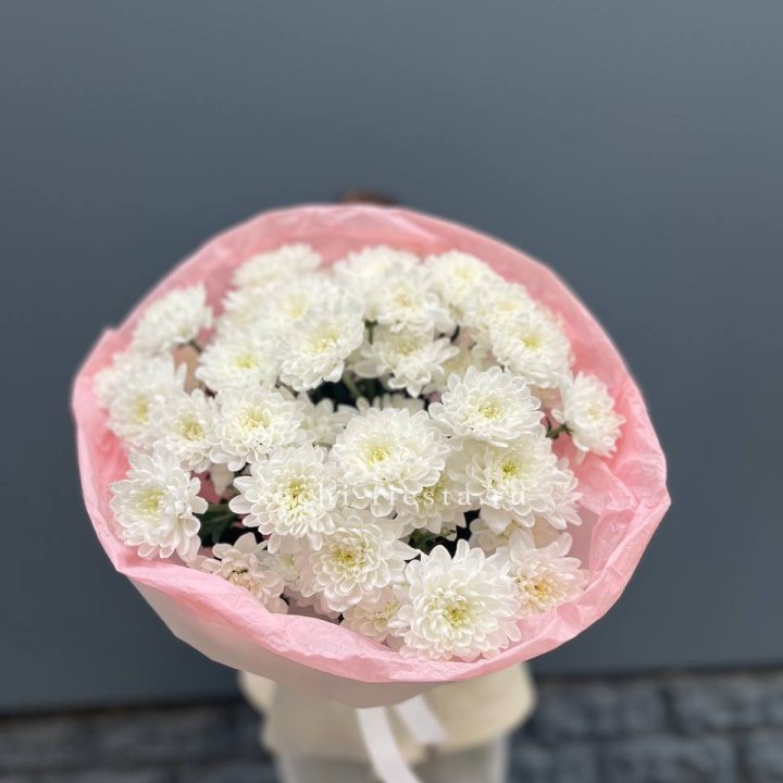  5 хризантем  в Красноярске