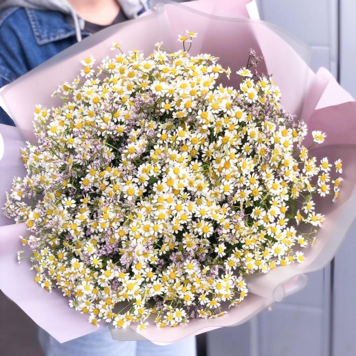 Букет ромашек №1 в Красноярске