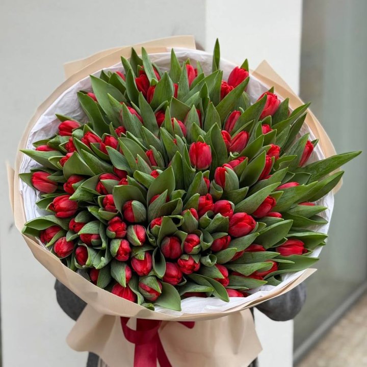 101 красный тюльпан в Красноярске