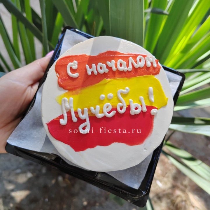 Бенто-торт "С началом учёбы"" в Красноярске