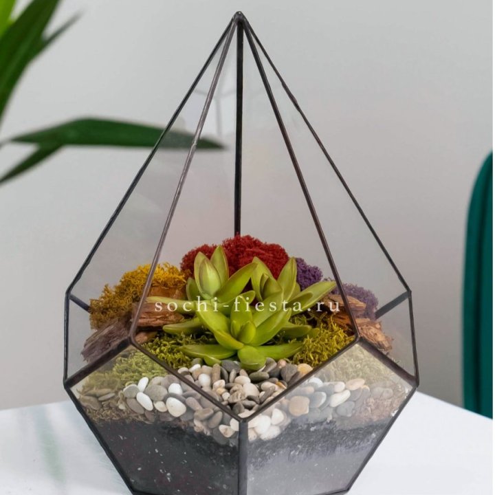 Флорариум Капля с суккулентом в Красноярске