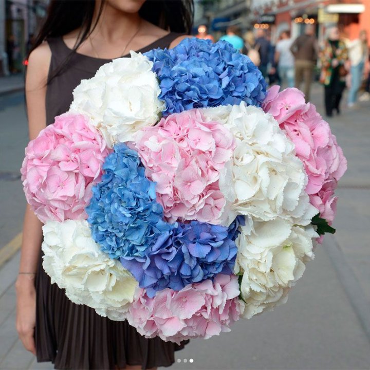 Букет гортензий "Инь-Янь" в Красноярске