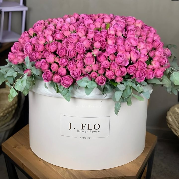 Цилиндр с Мисти Бабблс  в Красноярске