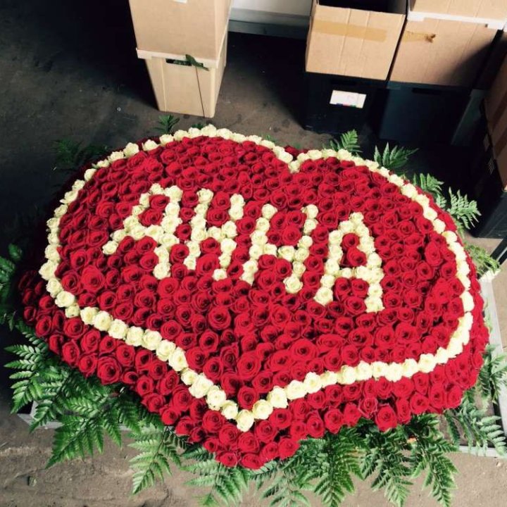 555 роз с именем в Красноярске