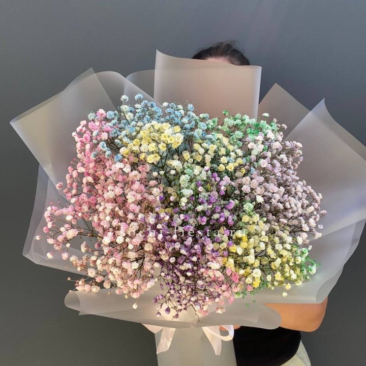 Радужные гипсофилы  в Красноярске