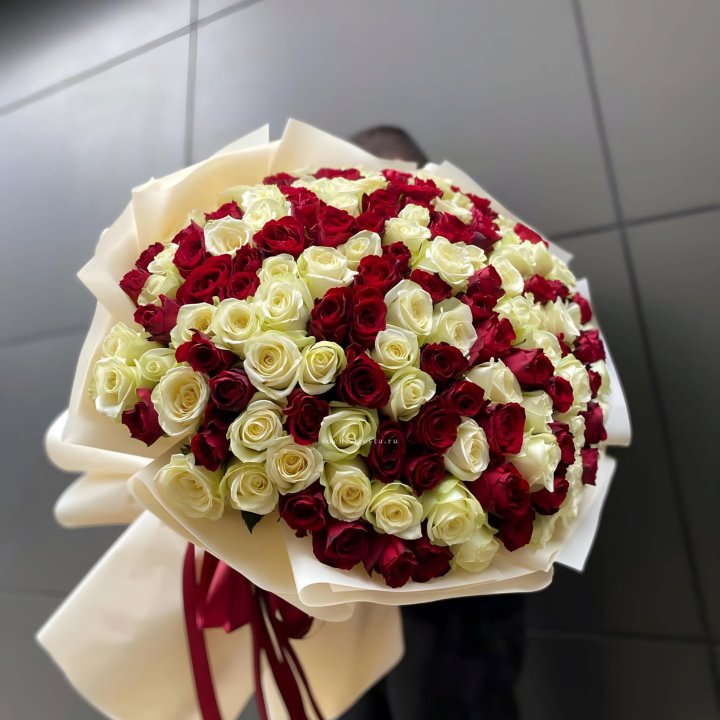 101 высокая импортная роза  в Красноярске