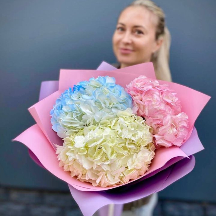 Букет гортензий "Тоника" в Красноярске