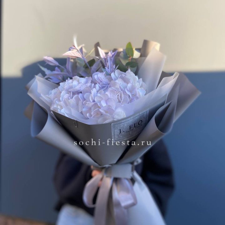 Гортензия "Виолета" в Красноярске