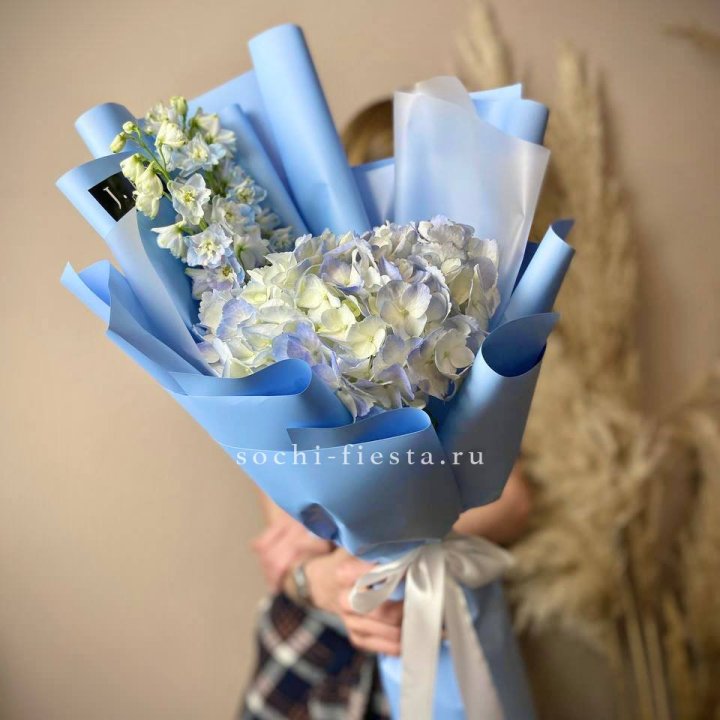Гортензия "Блю скай" в Красноярске