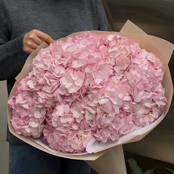 Гортензия  "РОЗЕ" в Красноярске