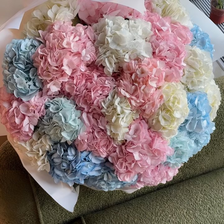 Букет гортензий микс в Красноярске