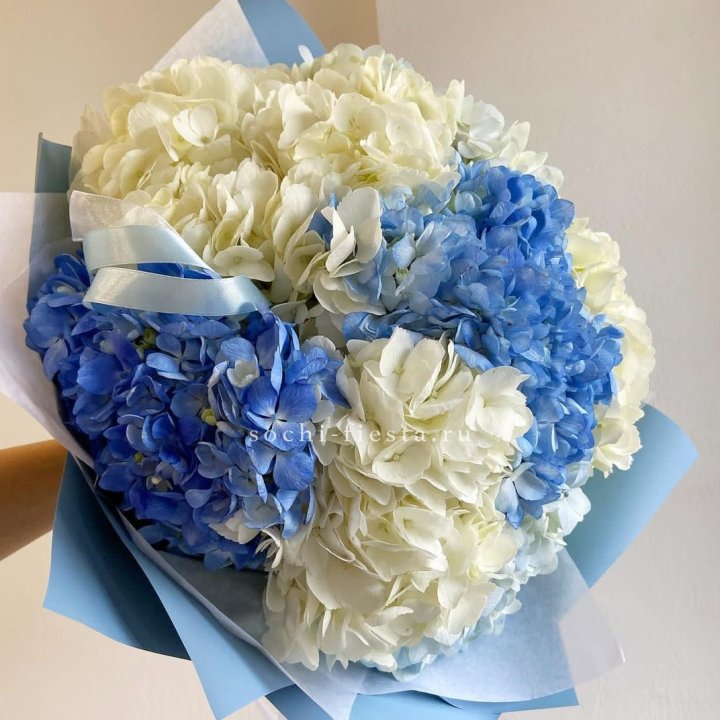 Букет гортензий "Голубая лаза" в Красноярске