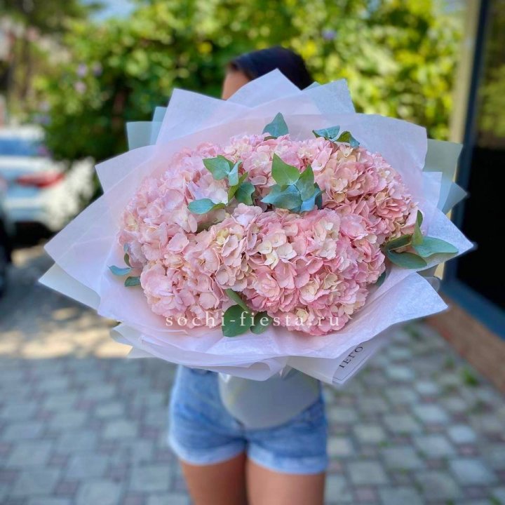 5 розовых гортензий  в Красноярске