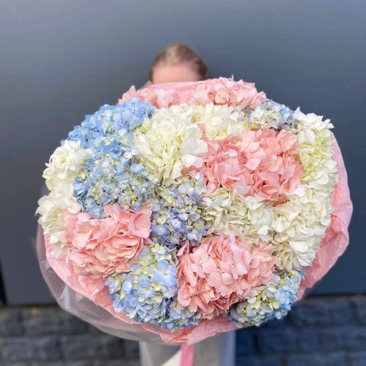 19 гортензий микс в Красноярске