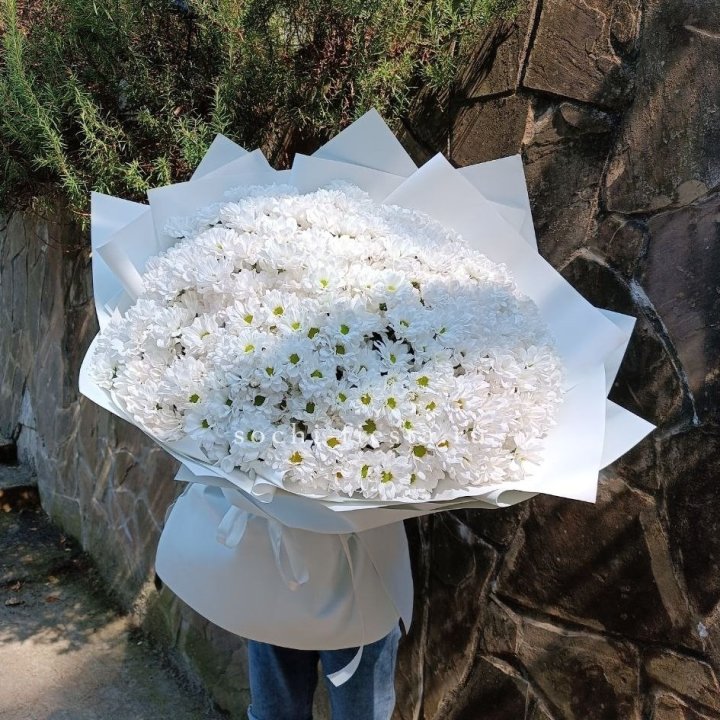 Облако хризантем №2 в Красноярске