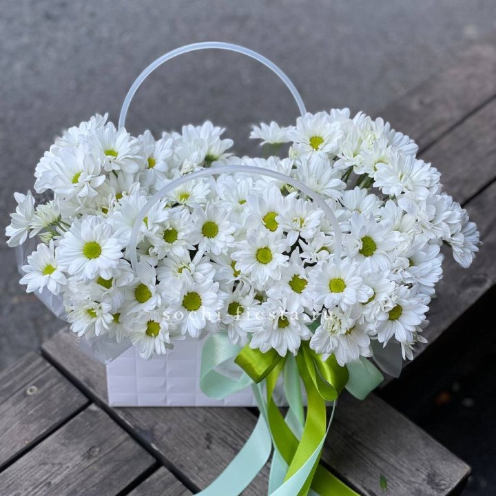 Сумка с хризантемами ромашками в Красноярске