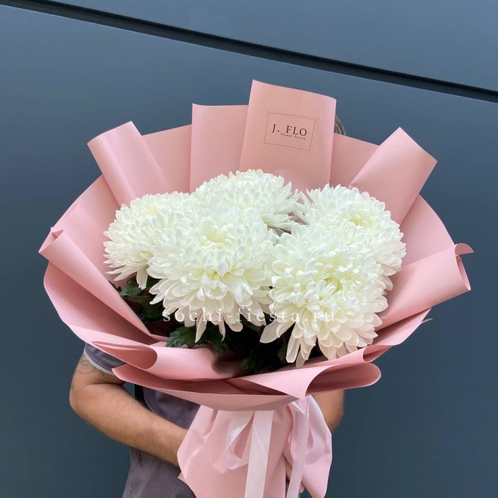 Профитроли №2 в Красноярске