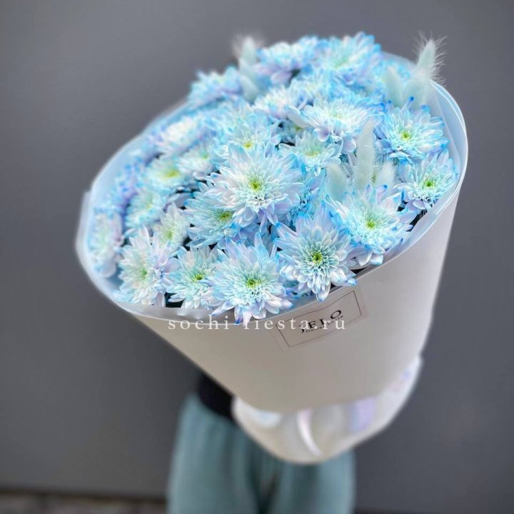  Букет нежно-голубых хризантем  в Красноярске