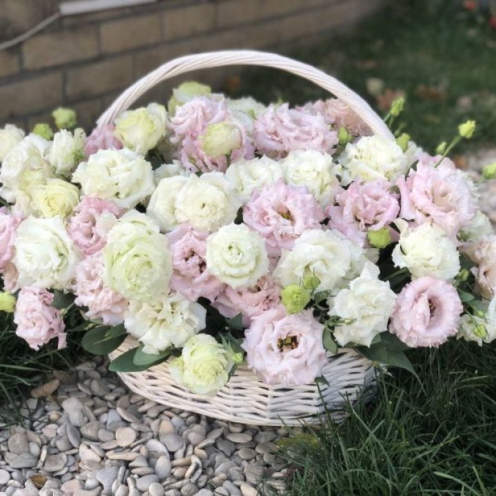 Корзина с эустомой в Красноярске