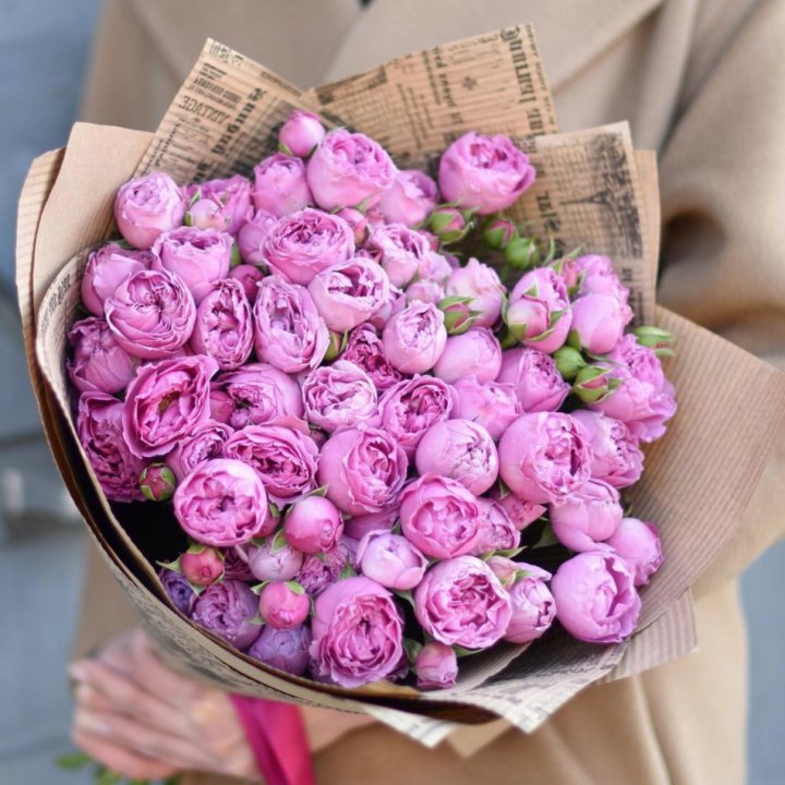 Роза Мисти Баблс в Красноярске