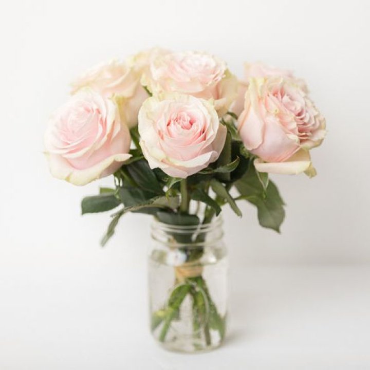 7 кремовых роз в Красноярске