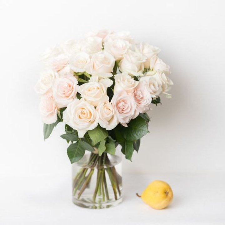 25 кремовых роз в Красноярске