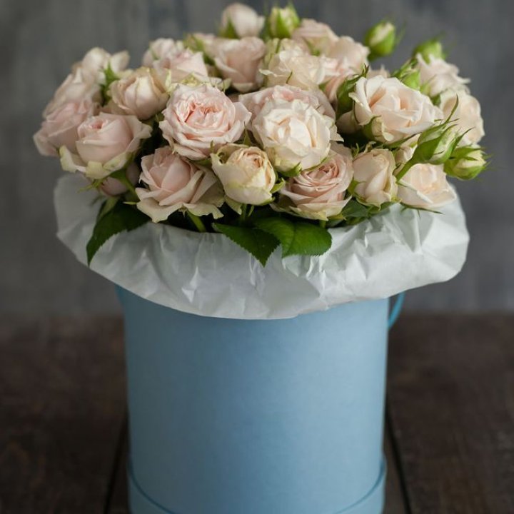 Бокс с бомбастиком в Красноярске