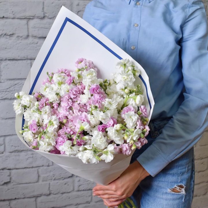 Маттиола в Красноярске