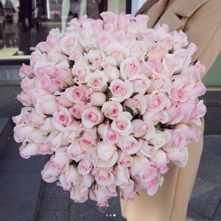 Розы "Пинк бум" в Красноярске