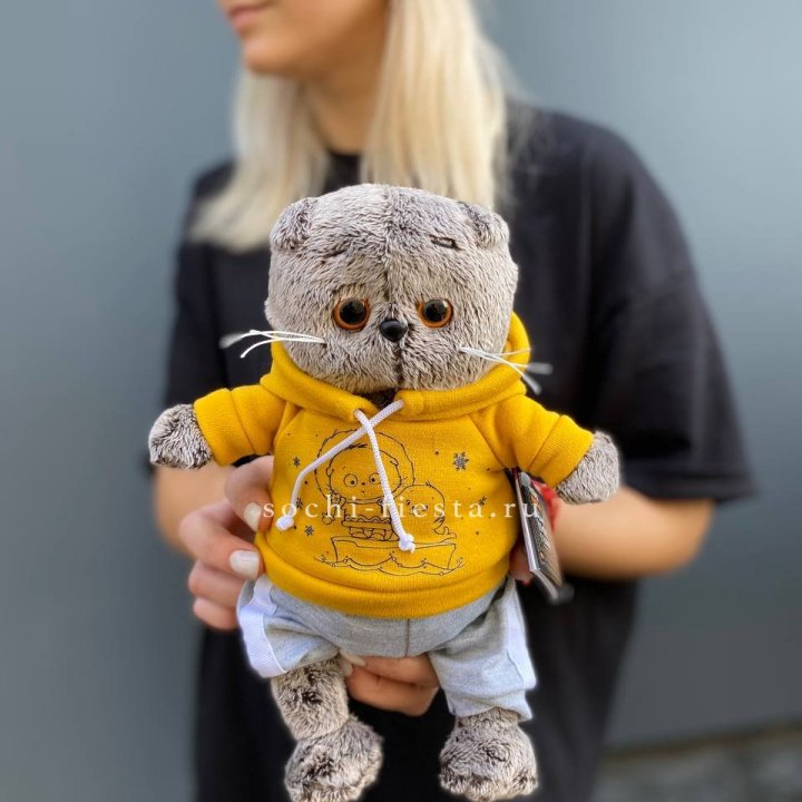 Кот Басик в худи в Красноярске