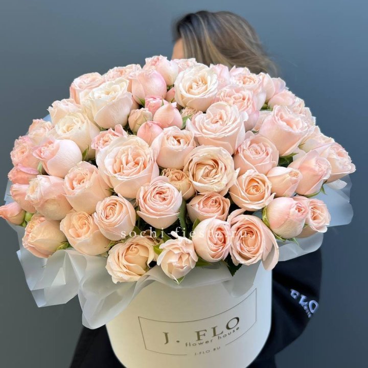 Бомбастик бокс Премьер в Красноярске