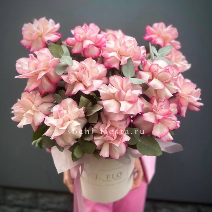 17 Французских  роз Венди в боксе в Красноярске